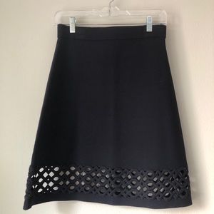 ‼️SOLD: Ann Taylor: Navy A-line Skirt